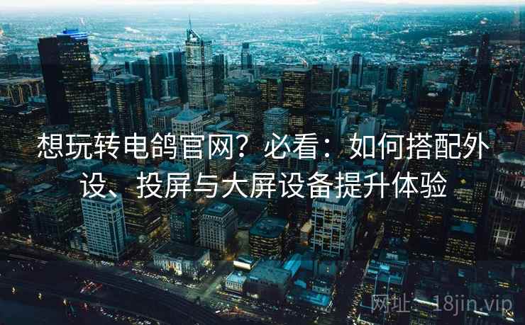 想玩转电鸽官网？必看：如何搭配外设、投屏与大屏设备提升体验