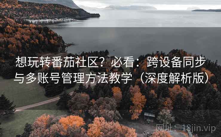 想玩转番茄社区？必看：跨设备同步与多账号管理方法教学（深度解析版）