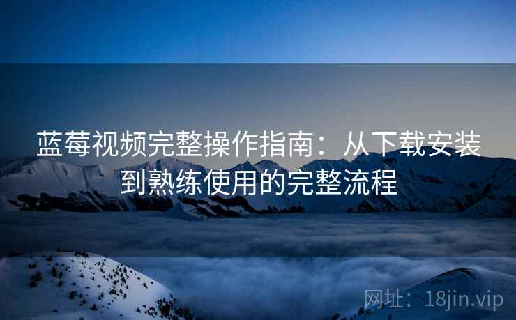 蓝莓视频完整操作指南：从下载安装到熟练使用的完整流程
