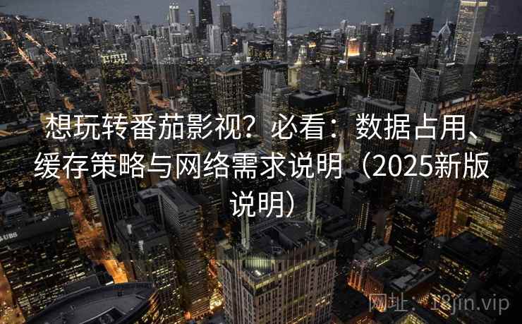 想玩转番茄影视？必看：数据占用、缓存策略与网络需求说明（2025新版说明）
