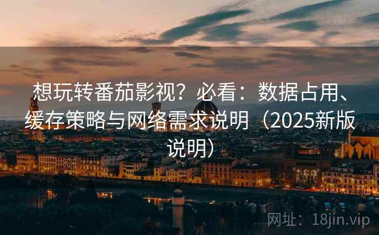想玩转番茄影视？必看：数据占用、缓存策略与网络需求说明（2025新版说明）