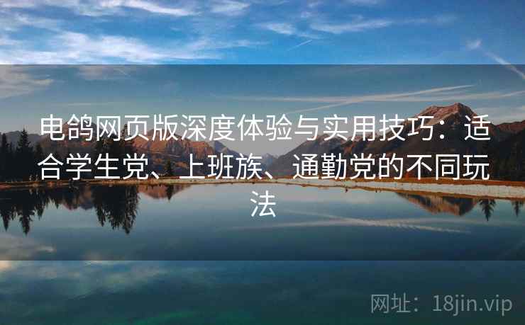 电鸽网页版深度体验与实用技巧：适合学生党、上班族、通勤党的不同玩法