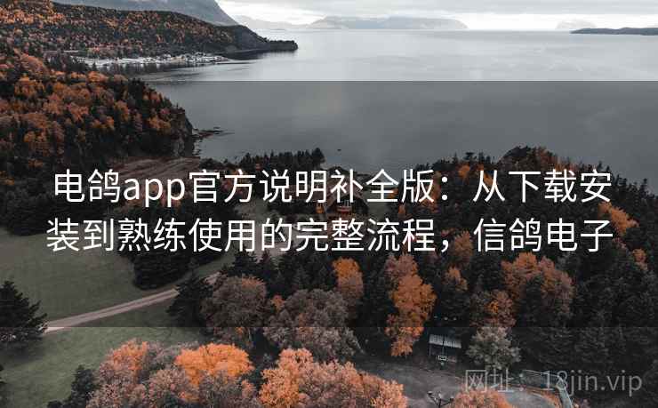 电鸽app官方说明补全版：从下载安装到熟练使用的完整流程，信鸽电子