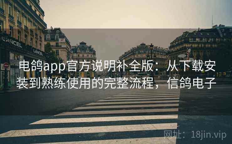 电鸽app官方说明补全版：从下载安装到熟练使用的完整流程，信鸽电子