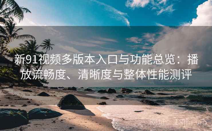 新91视频多版本入口与功能总览：播放流畅度、清晰度与整体性能测评