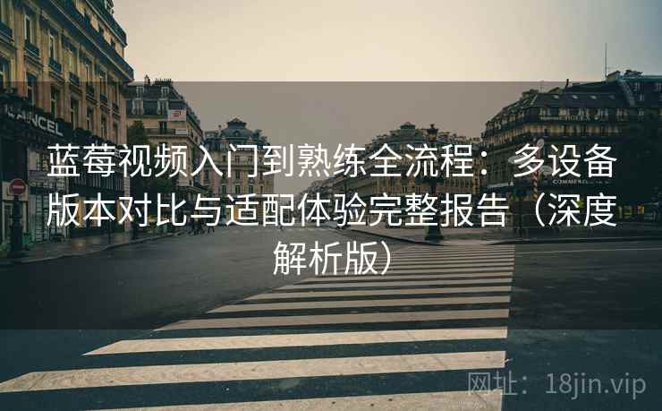 蓝莓视频入门到熟练全流程：多设备版本对比与适配体验完整报告（深度解析版）