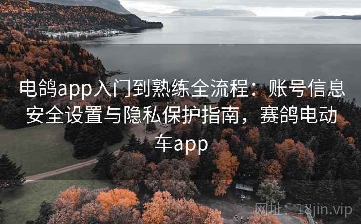 电鸽app入门到熟练全流程：账号信息安全设置与隐私保护指南，赛鸽电动车app