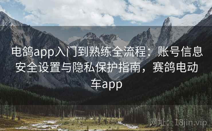 电鸽app入门到熟练全流程：账号信息安全设置与隐私保护指南，赛鸽电动车app
