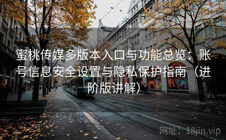 蜜桃传媒多版本入口与功能总览：账号信息安全设置与隐私保护指南（进阶版讲解）