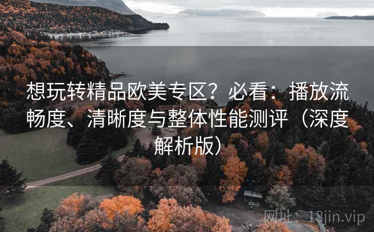 想玩转精品欧美专区?必看:播放流畅度、清晰度与整体性能测评(深度解析版) 想玩转精品欧美专区?必看:播放流畅度、清晰度与整体性能测评(深度解析版)