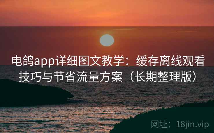 电鸽app详细图文教学：缓存离线观看技巧与节省流量方案（长期整理版）